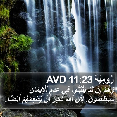 رُومِيَةَ 11:23 AVD Bible Verse Image