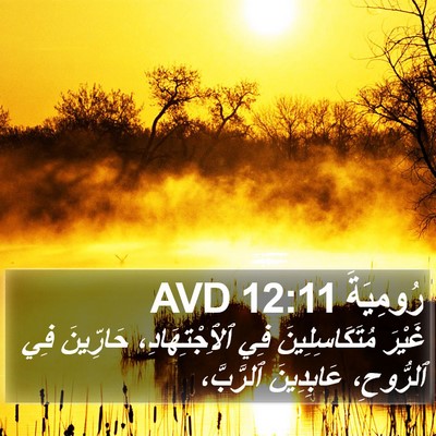 رُومِيَةَ 12:11 AVD Bible Verse Image