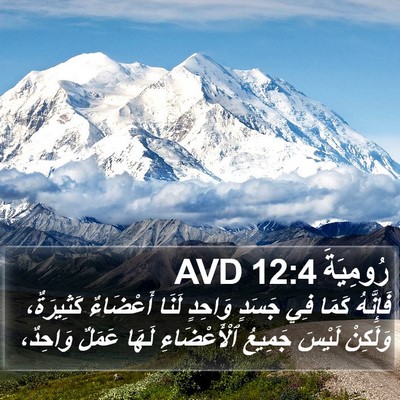 رُومِيَةَ 12:4 AVD Bible Verse Image