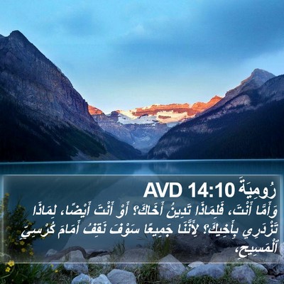 رُومِيَةَ 14:10 AVD Bible Verse Image