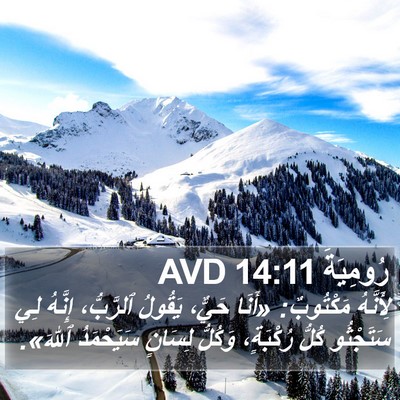 رُومِيَةَ 14:11 AVD Bible Verse Image