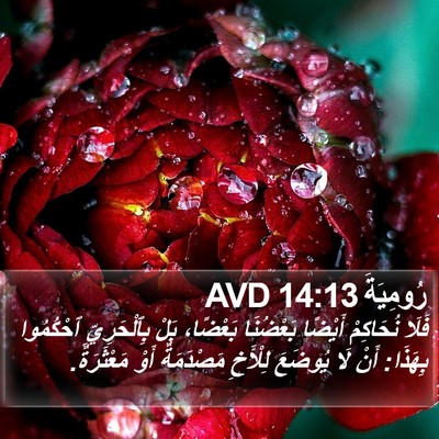 رُومِيَةَ 14:13 AVD Bible Verse Image