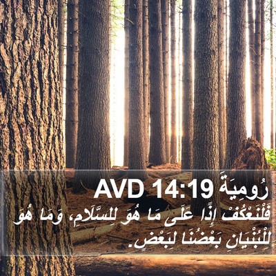 رُومِيَةَ 14:19 AVD Bible Verse Image