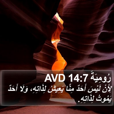 رُومِيَةَ 14:7 AVD Bible Verse Image
