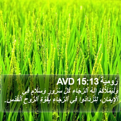 رُومِيَةَ 15:13 AVD Bible Verse Image