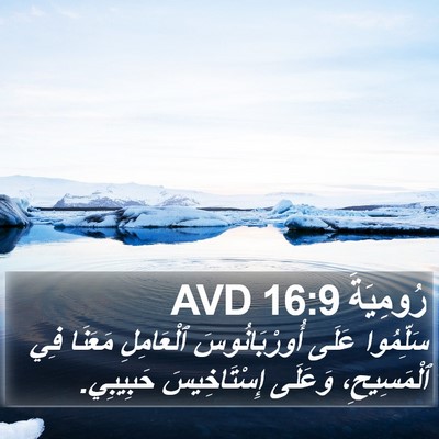 رُومِيَةَ 16:9 AVD Bible Verse Image