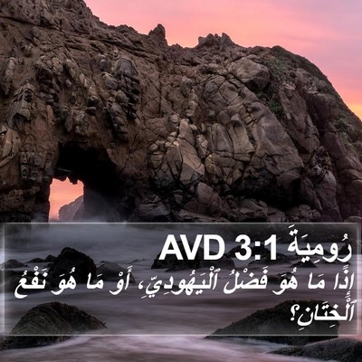 رُومِيَةَ 3:1 AVD Bible Verse Image