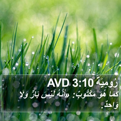 رُومِيَةَ 3:10 AVD Bible Verse Image