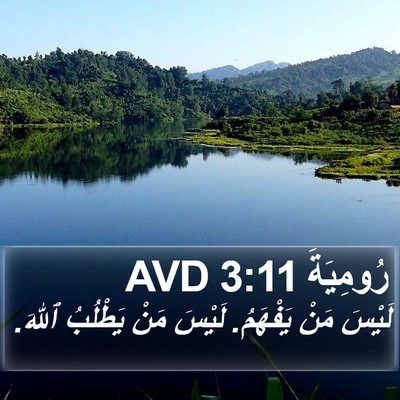 رُومِيَةَ 3:11 AVD Bible Verse Image