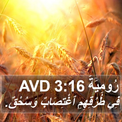 رُومِيَةَ 3:16 AVD Bible Verse Image