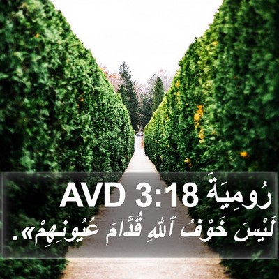 رُومِيَةَ 3:18 AVD Bible Verse Image