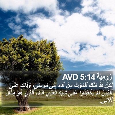 رُومِيَةَ 5:14 AVD Bible Verse Image