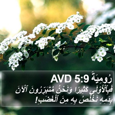 رُومِيَةَ 5:9 AVD Bible Verse Image