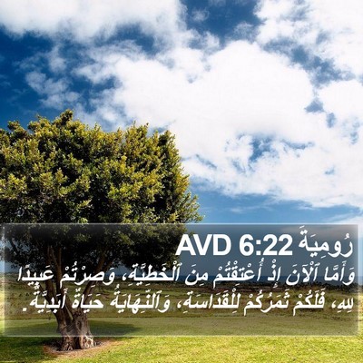 رُومِيَةَ 6:22 AVD Bible Verse Image