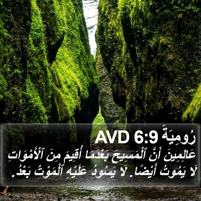 رُومِيَةَ 6:9 AVD Bible Verse Image