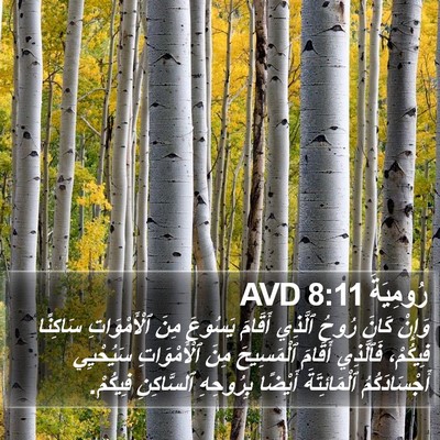 رُومِيَةَ 8:11 AVD Bible Verse Image