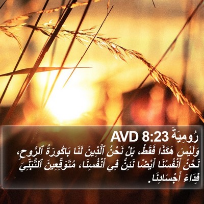 رُومِيَةَ 8:23 AVD Bible Verse Image