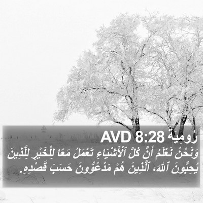 رُومِيَةَ 8:28 AVD Bible Verse Image