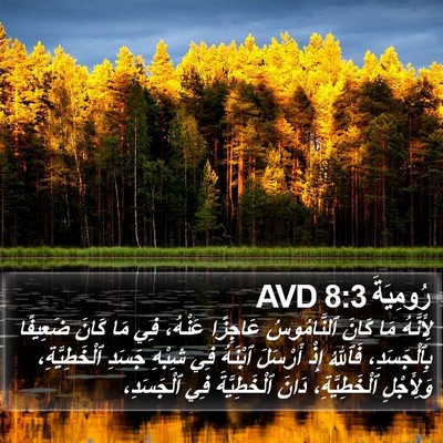رُومِيَةَ 8:3 AVD Bible Verse Image