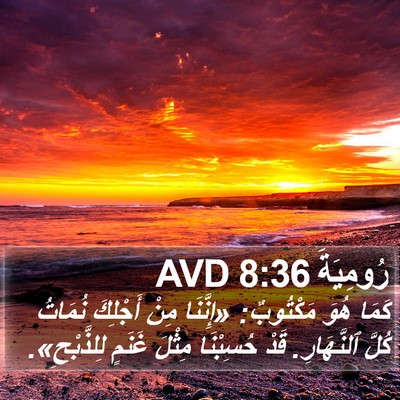 رُومِيَةَ 8:36 AVD Bible Verse Image