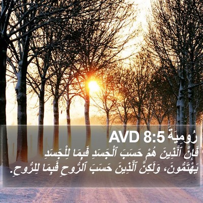 رُومِيَةَ 8:5 AVD Bible Verse Image