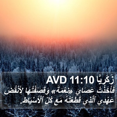 زَكَريَّا 11:10 AVD Bible Verse Image