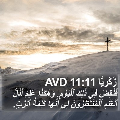 زَكَريَّا 11:11 AVD Bible Verse Image