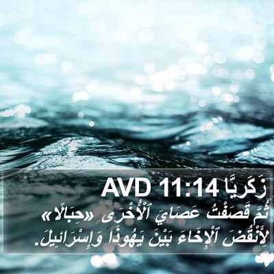زَكَريَّا 11:14 AVD Bible Verse Image
