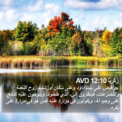 زَكَريَّا 12:10 AVD Bible Verse Image
