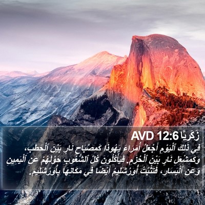 زَكَريَّا 12:6 AVD Bible Verse Image