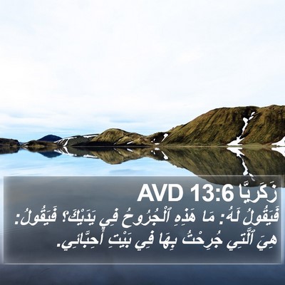 زَكَريَّا 13:6 AVD Bible Verse Image