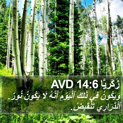 زَكَريَّا 14:6 AVD Bible Verse Image