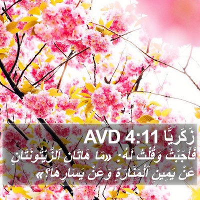 زَكَريَّا 4:11 AVD Bible Verse Image
