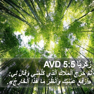 زَكَريَّا 5:5 AVD Bible Verse Image