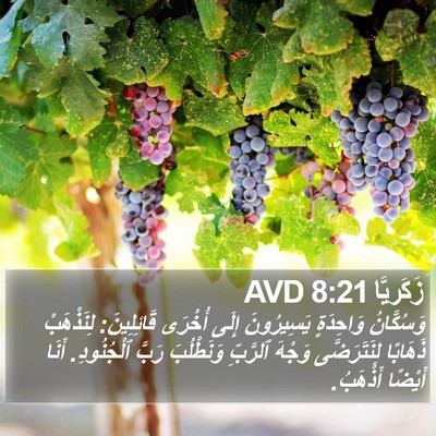 زَكَريَّا 8:21 AVD Bible Verse Image