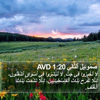 صَمُوئِيلَ ٱلثَّانِي 1:20 AVD Bible Verse Image