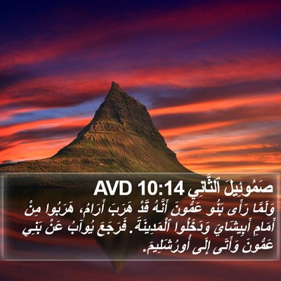 صَمُوئِيلَ ٱلثَّانِي 10:14 AVD Bible Verse Image
