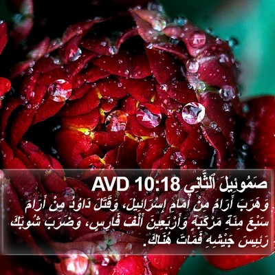 صَمُوئِيلَ ٱلثَّانِي 10:18 AVD Bible Verse Image