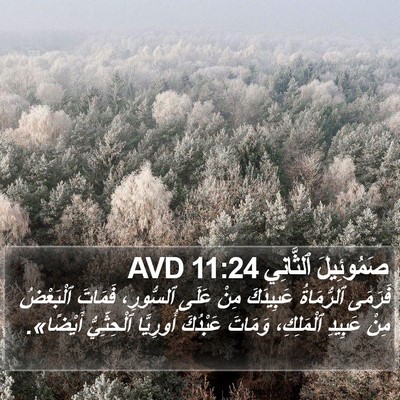 صَمُوئِيلَ ٱلثَّانِي 11:24 AVD Bible Verse Image