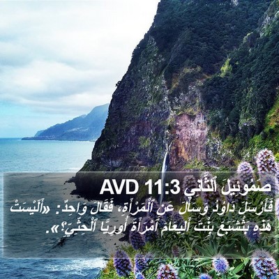 صَمُوئِيلَ ٱلثَّانِي 11:3 AVD Bible Verse Image