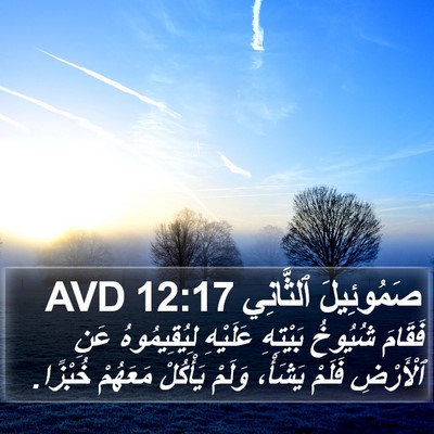 صَمُوئِيلَ ٱلثَّانِي 12:17 AVD Bible Verse Image