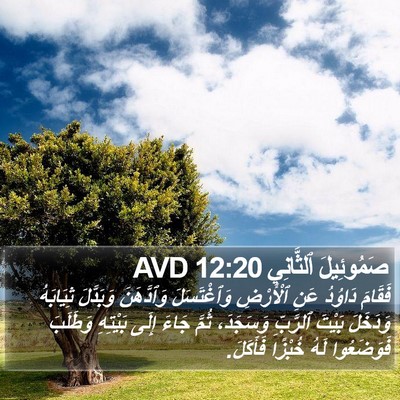 صَمُوئِيلَ ٱلثَّانِي 12:20 AVD Bible Verse Image