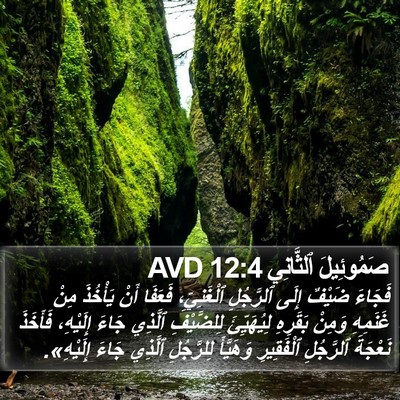 صَمُوئِيلَ ٱلثَّانِي 12:4 AVD Bible Verse Image