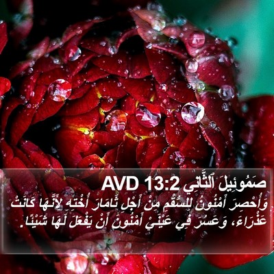 صَمُوئِيلَ ٱلثَّانِي 13:2 AVD Bible Verse Image