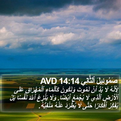 صَمُوئِيلَ ٱلثَّانِي 14:14 AVD Bible Verse Image