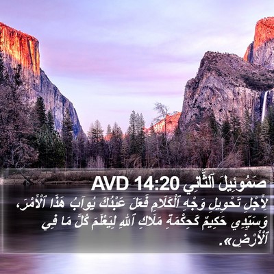 صَمُوئِيلَ ٱلثَّانِي 14:20 AVD Bible Verse Image
