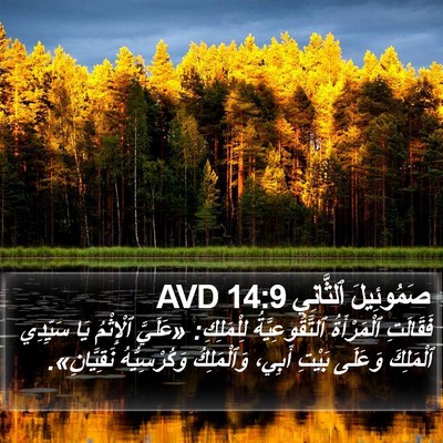 صَمُوئِيلَ ٱلثَّانِي 14:9 AVD Bible Verse Image