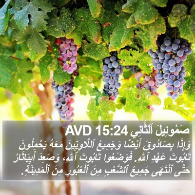 صَمُوئِيلَ ٱلثَّانِي 15:24 AVD Bible Verse Image