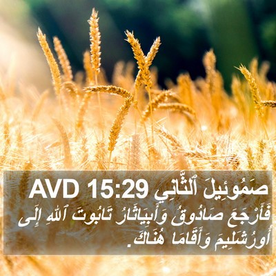 صَمُوئِيلَ ٱلثَّانِي 15:29 AVD Bible Verse Image