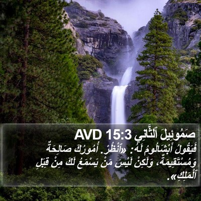 صَمُوئِيلَ ٱلثَّانِي 15:3 AVD Bible Verse Image